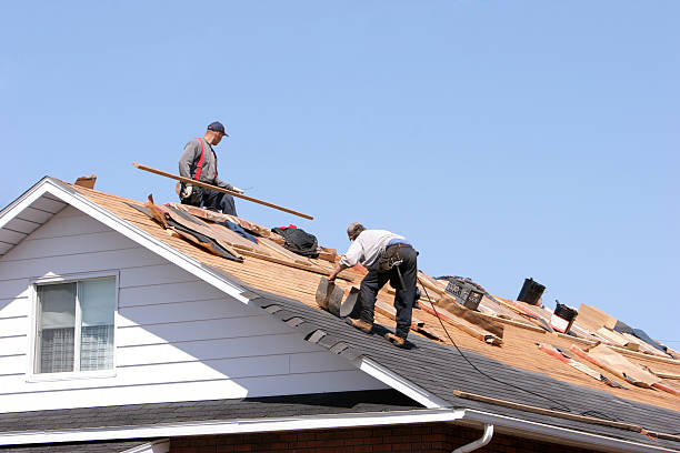 Best Roof Ventilation Installation  in Highland City, FL