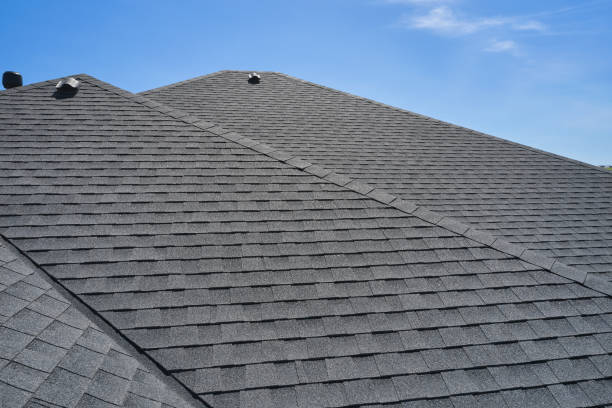 Best Roof Moss and Algae Removal  in Highland City, FL